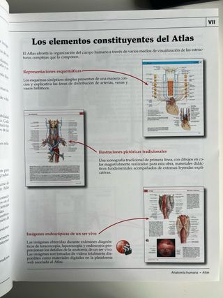 Atlas de anatomía humana Ergon en español