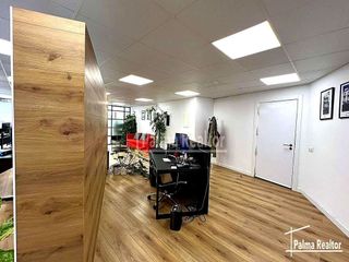 Oficina en alquiler en La Llotja - Sant Jaume en Palma de Mallorca