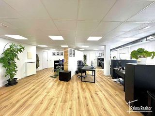 Oficina en alquiler en La Llotja - Sant Jaume en Palma de Mallorca