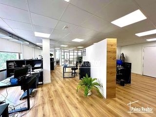 Oficina en alquiler en La Llotja - Sant Jaume en Palma de Mallorca