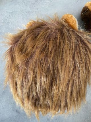 Costume Carnevale Leone Bambino