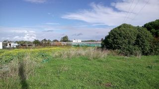 Terreno en venta en La Jara en Sanlúcar de Barrameda