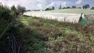 Terreno en venta en La Jara en Sanlúcar de Barrameda