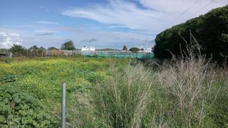 Terreno en venta en La Jara en Sanlúcar de Barrameda