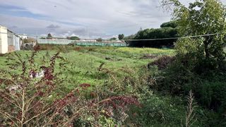 Terreno en venta en La Jara en Sanlúcar de Barrameda