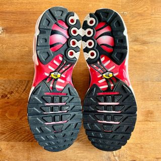 Nike TN Gym Red Talla 42,5