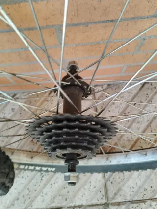 Ruedas 26 pulgadas MTB