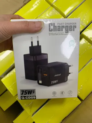 Caricatore Rapido 75W USB-C