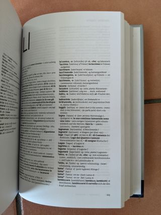 Dizionario tedesco. Tedesco-italiano, italiano-...