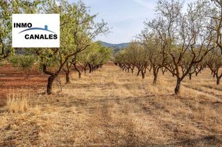 Terreno en venta en Padul