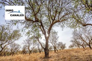 Terreno en venta en Padul