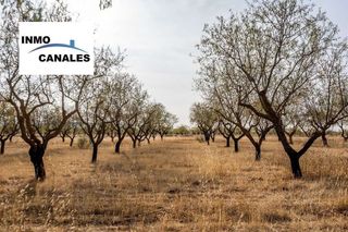 Terreno en venta en Padul