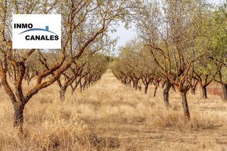 Terreno en venta en Padul