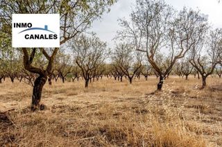 Terreno en venta en Padul