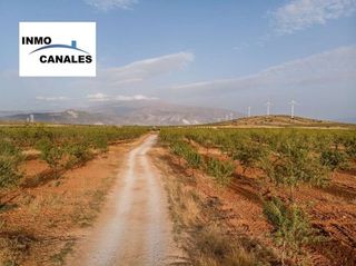 Terreno en venta en Padul