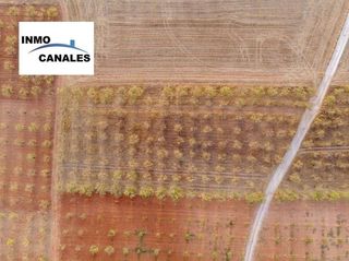 Terreno en venta en Padul