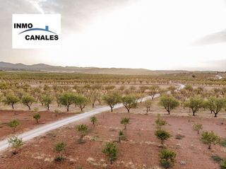 Terreno en venta en Padul