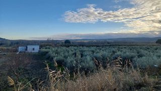 Terreno en venta en Cintruénigo