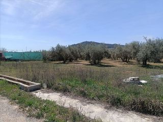 Terreno en venta en Albolote
