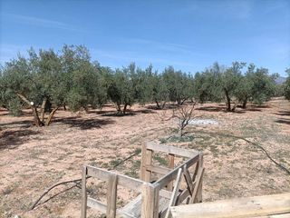 Terreno en venta en Albolote