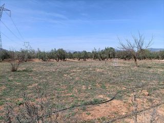 Terreno en venta en Albolote