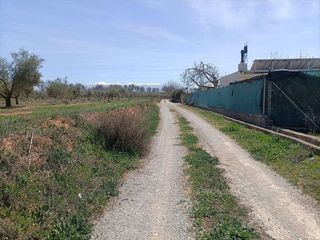 Terreno en venta en Albolote