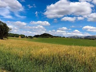 Terreno en venta en Bobadilla - Bobadilla Estación - La Joya en Antequera
