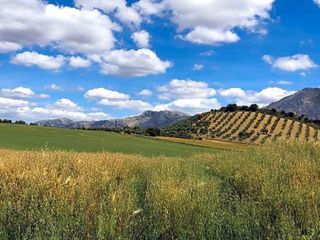 Terreno en venta en Bobadilla - Bobadilla Estación - La Joya en Antequera