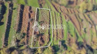 Terreno en venta en Orotava (La)