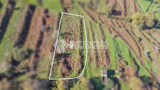 Terreno en venta en Orotava (La)