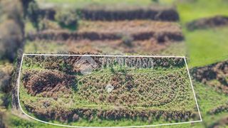 Terreno en venta en Orotava (La)