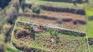 Terreno en venta en Orotava (La)