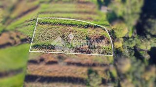 Terreno en venta en Orotava (La)