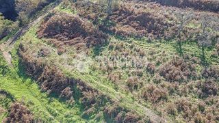 Terreno en venta en Orotava (La)