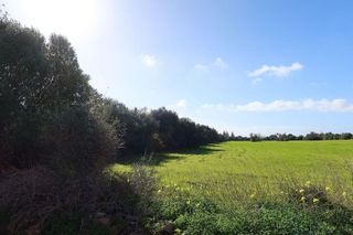 Solar en venta en Campos