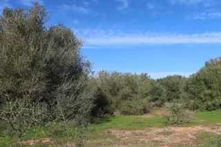 Solar en venta en Campos