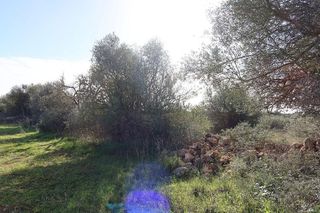 Solar en venta en Campos