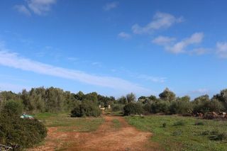 Solar en venta en Campos