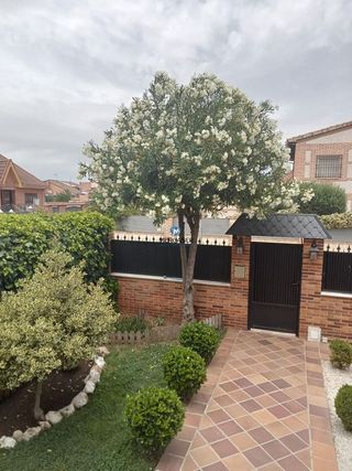 Chalet en venta en Meco pueblo en Meco