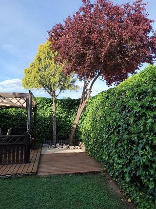 Chalet en venta en Meco pueblo en Meco