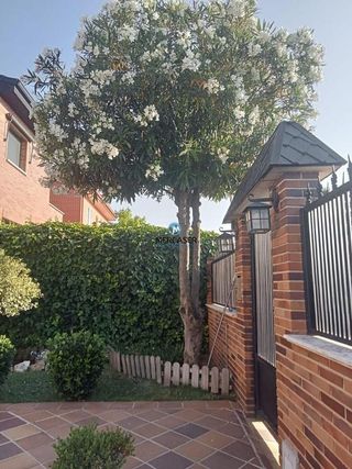 Chalet en venta en Meco pueblo en Meco