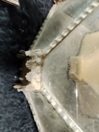 Vitrina antigua metal y cristal con dorsel. Antigu