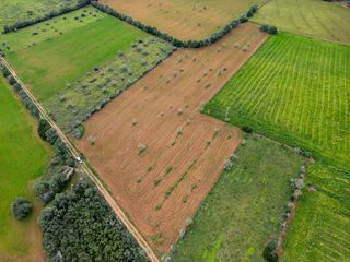 Solar en venta en Campos