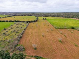 Solar en venta en Campos