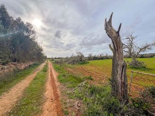 Solar en venta en Campos