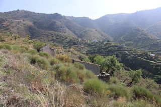 Terreno en venta en Almuñecar en Almuñécar