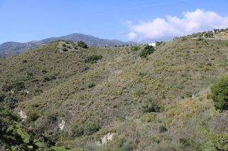 Terreno en venta en Almuñecar en Almuñécar