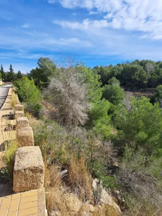 Parcela Urbana Jávea