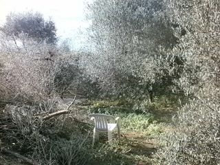 Terreno en venta en Vila-seca pueblo en Vila-Seca