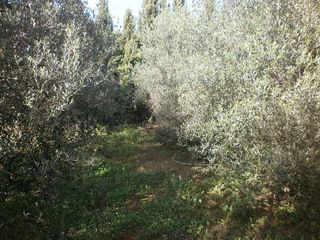 Terreno en venta en Vila-seca pueblo en Vila-Seca